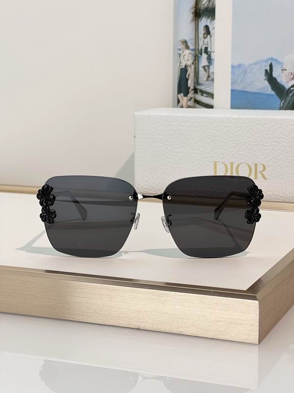 Dior Glasses smr145